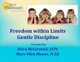 Pin Von Elizabeth Bradt Auf Free Webinars On Montessori In The Home And Classroom