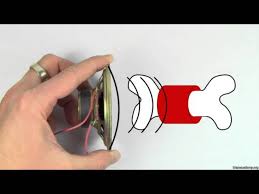 İnsan sesinin oluşabilmesi içinde bir titreşimin oluşması gerekmektedir. Ses Nasil Olusur Fizik Fizik Youtube