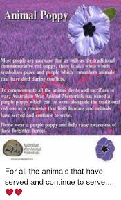 Purple Animal Poppy Most People Are Unaware That As Well As The Traditional Commemorativ Remembrance Day Pictures Remembrance Day Poems Remembrance Day Quotes