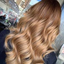 It is characterized by higher levels of the dark pigment eumelanin and lower levels of the pale pigment pheomelanin. How To Create Brown To Blonde Balayage Wella Professionals