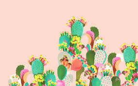 Succulent Desktop Wallpapers Top Free Succulent Desktop Backgrounds Wallpaperaccess We have a massive amount of desktop and mobile backgrounds. succulent desktop wallpapers top free