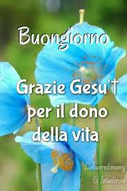 Buongiorno gesù appuntamento per giovani e adolescenti santa pasqua un inizio giornata in compagnia di gesù, con la. 10 Immagini Belle Di Buongiorno Religioso Bgiorno It