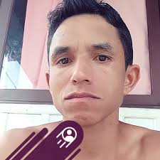 Dilophosaurus vs Anchisaurus.