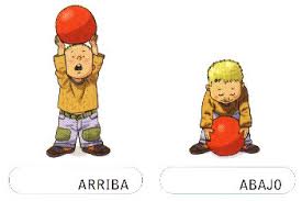 Resultado de imagen para conceptos de arriba y abajo
