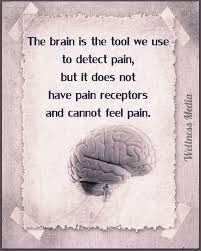Pin On Wellness Media