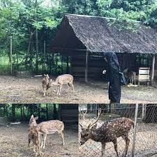 Wisata alam taman rusa lamtanjong sibreh aceh besar. The Small Zoo In Taman Rusa Kompasiana Com