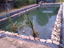 Detalii despre lac gasiti mai sus in articol, in sectiunea balti de pescuit la crap. De La Pasiune La Afacere DeÈ™teptarea Ziarul BacÄƒului