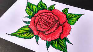 Beautiful drawings of roses posted on drawings. Pencil Drawing How To Draw A Beautiful Rose Flower Novocom Top