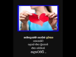 Check spelling or type a new query. Adara Wadan