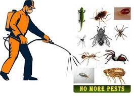 How much does it cost to hire an exterminator? Top 20 Pest Control Services In Vizianagaram Best Residential Pest Control Services Justdial