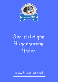 den richtigen hundenamen finden durchfall beim hund hundenamen durchfall hund