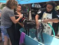 Quarterly Dog Wash Fundraiser! — FastFriends
