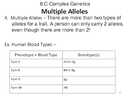 However, there are some traits, such as human blood type that involved more than 2 alleles. Warm Up Day 1 Complete Unit 8 Pre Test Quietly