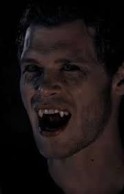 Salvatoresister Stories