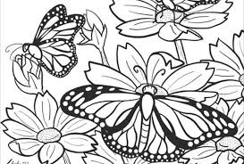 We did not find results for: Beautiful Butterfly Coloring Pages Skip To My Lou