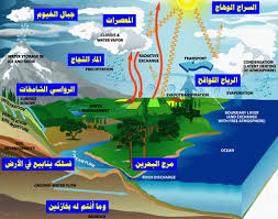 لمسات بيانيه وفوائد ولطائف قرانيه دورة الماء Water Cycle Groundwater Evaporation