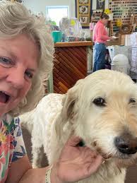 Bear Sighting in Potters Mills