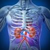 Thus, it is important to that you know the exact location of liver pain. 1