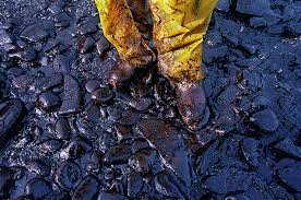 The exxon valdez oil spill soiled 1,200 miles of shoreline and killed hundreds of thousands of birds and other marine animals. 30 Years After Oil Spill He Will Never Forget Or Forgive Heraldnet Com