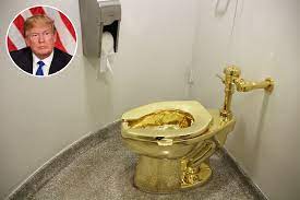 The gold standard hasn't been used in the us since the 1970s, but when donald trump was president there was some speculation that he could bring it back. The Art Museum That Offered Donald Trump A Solid Gold Toilet Vanity Fair