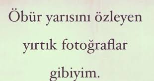 Obur Yarisini Ozleyen Yirtik Fotograflar Gibiyim Nermin Yildirim Ozlu Sozler Siir Ve Guzel Soz