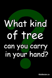 Tricky Riddles That Can Leave Anyone Confused Tricky Riddles Tricky Riddles With Answers Fun Quotes Funny