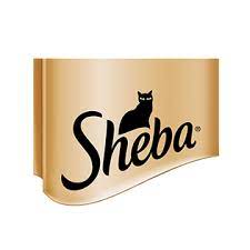 Sheba boykot