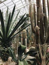 Botanischer Garten Munchen Nymphenburg Botanischer Garten Munchen Garten Munchen Botanischer Garten