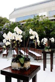 eco friendly los angeles wedding from sweet monday photography potted orchid centerpiece orchid centerpieces orchid centerpieces wedding
