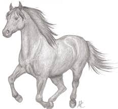 Beautiful And Easy Drawings To Draw Of Horses Drawing Art Library Easy Horse Drawing Horse Drawings Animal Drawings