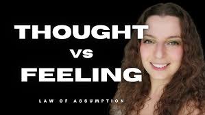 Spider-Man: Celebration