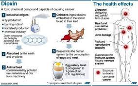 Dioxin, shown on the right, is an organic chemical that consists of a pair of benzene rings, two oxygen atoms and four chlorine atoms. Infographic On Dioxins Health Effects
