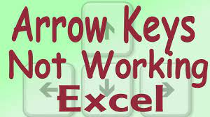 Arrow keys in excel is basically used for easy switching between the cells. Up Down Arrow Keys Are Not Woking In Excel Youtube