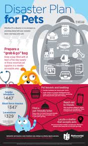 If your pet has already received. Pet Insurance Nationwide Is America S Best Pet Insurance