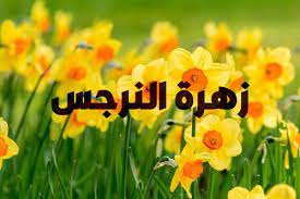 زهرة النرجس واحدة من الزهور الأكثر شعبية و التي ترمز إلى الصداقة يعتبر الموطن الأصلي للنرجس هو أواسط آسيا وحوض البحر الأبيض المتوسط م plants logos
