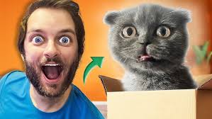 Mr Bigglesworth meets Miss Cinnamon Bun