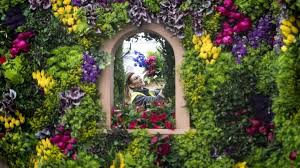 How to plant flowers, tips on how to succeed. Coronavirus Chelsea Flower Show Moves Online For First Time Bbc News