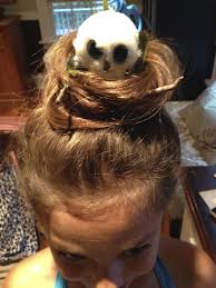 Wild Bird With Crazy Hair Crazy Hair Day Bird Nest With Beanie Boo Owl In It So Easy And So Cute Wacky Hair Days Crazy Hair Wacky Hair