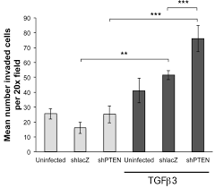 Soluble VCAM-1 Alters Lipid Phosphatase Activity in Epicardial Mesothelial  Cells: Implications for Lipid Signaling During Epicardial Formation