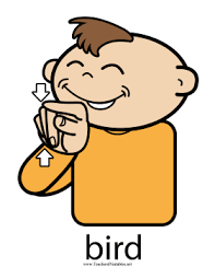 Bird In Sign Language For Toddlers Help Your Child Converse In Sign Language About Birds And Other Animals With This Printable Asl P With Images Sign Language Book Simple Sign Language Sign Language Lessons