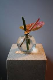 Bud Vase Bud Vase For Your Desk Anthurium Bud Vase Modern Flowers Bud Vases Corporate Flowers Anthurium