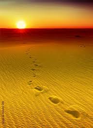 شمسها تلامس رمالي الذهبية Beautiful Sunset Beautiful Sunrise Sunset