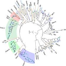 Ratings, reviews and photos from the local customers and articles about donovan's pest control, inc. The Genome Of The Stable Fly Stomoxys Calcitrans Reveals Potential Mechanisms Underlying Reproduction Host Interactions And Novel Targets For Pest Control Bmc Biology Full Text