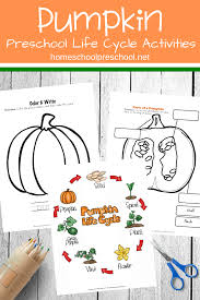 preschool life cycle of a pumpkin printable for fall