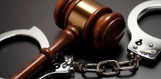 Image result for corporate crime