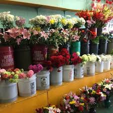 If you've just had some love sent your way in the form of fresh flowers, or bought a bouquet to cheer yourself up, you know they're going to brighten your day. Maria S Flowers 43 Photos 11 Reviews Florists 5444 El Cajon Blvd San Diego Ca Phone Number Yelp