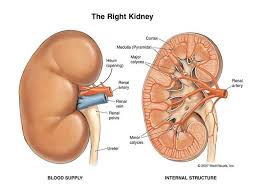 Medical Talks Timeline Photos Facebook Kidney Disease Symptoms Chronic Kidney Disease Kidney Failure