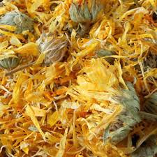 We did not find results for: Calendula Petals Powder Wholesale Supplier And Manufacturer In India