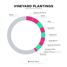 The 10 Most Popular Wines In The World Wine Folly