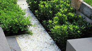 Innovation is in our dna. Elegant Metal Edging Offering Modern Solutions For Low Maintenance Yard Landscaping Metal Garden Edging Garden Edging Steel Garden Edging
